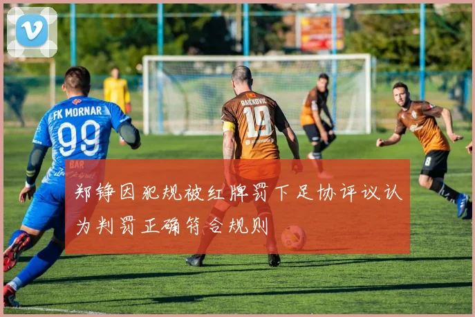 郑铮因犯规被红牌罚下足协评议认为判罚正确符合规则