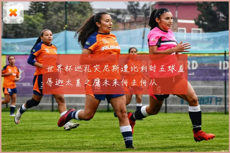 世界杯巡礼突尼斯遭比利时五球羞辱迦太基之鹰未来何去何从