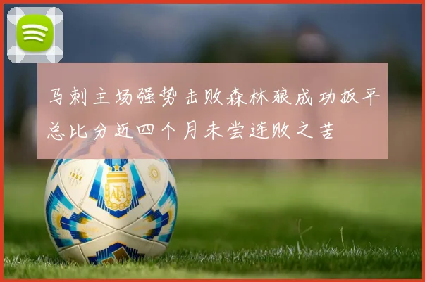 马刺主场强势击败森林狼成功扳平总比分近四个月未尝连败之苦
